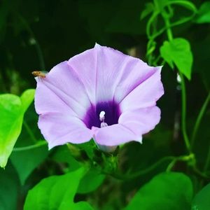 Meet your Posher, Alana